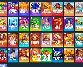 Security Systems z221